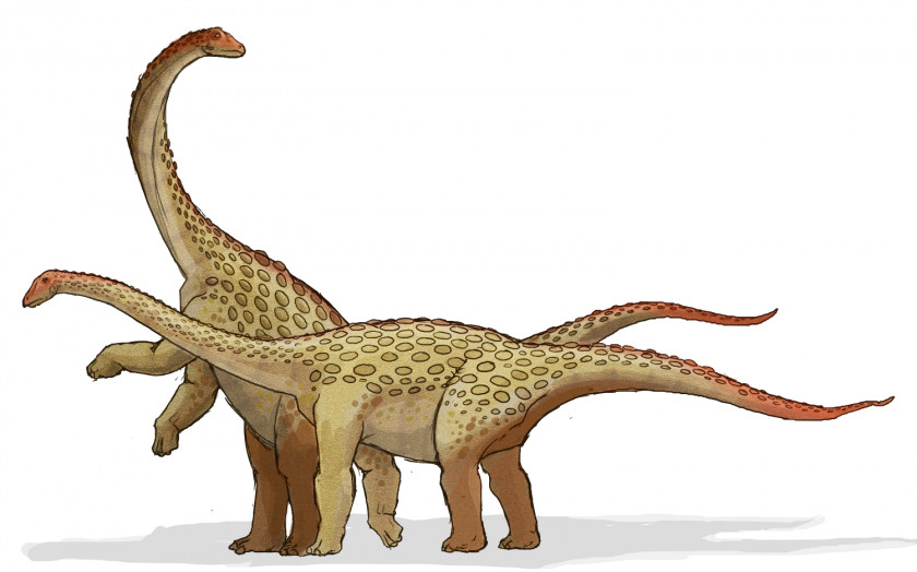 Dinosaur King Saltasaurus Tyrannosaurus Late Cretaceous Apatosaurus PNG