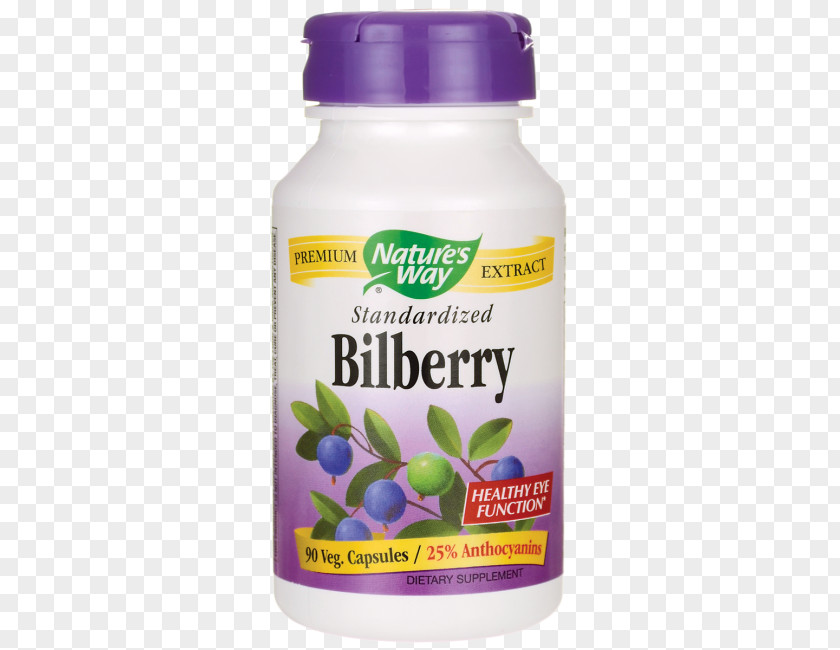 Health Dietary Supplement Bilberry Vitamin Extract PNG
