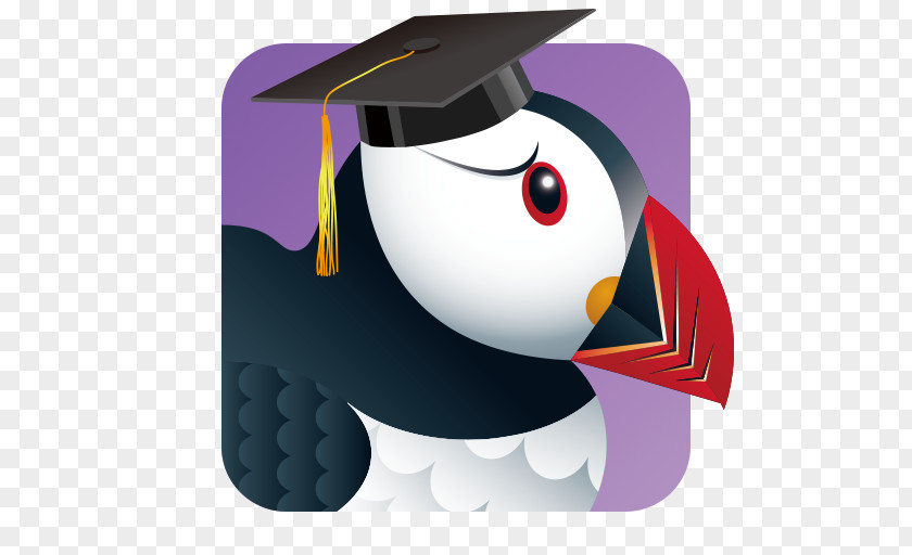 Android In App Purchase Puffin Browser PNG