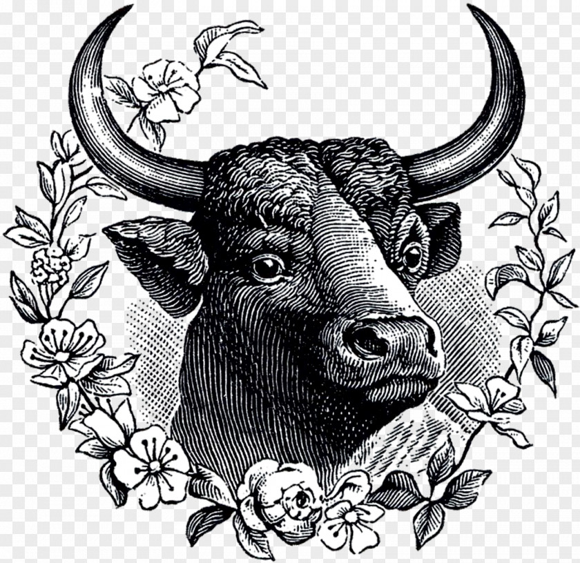 Bull Cattle Ox /m/02csf Domestic Yak PNG