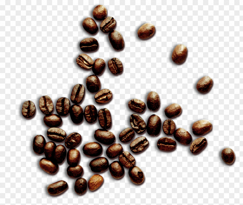 Coffee Beans Jamaican Blue Mountain Cafe Common Bean PNG