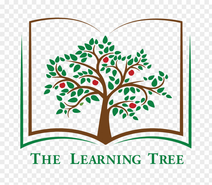 Green Lemon Slices The Learning Tree Preschool Manzanita Branch PNG
