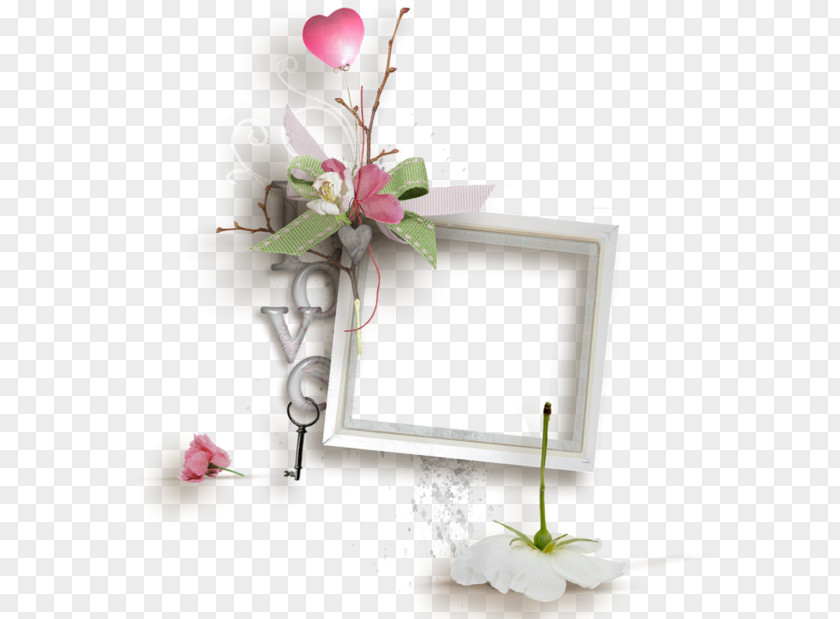 Picture Frames Flower Floral Design PNG