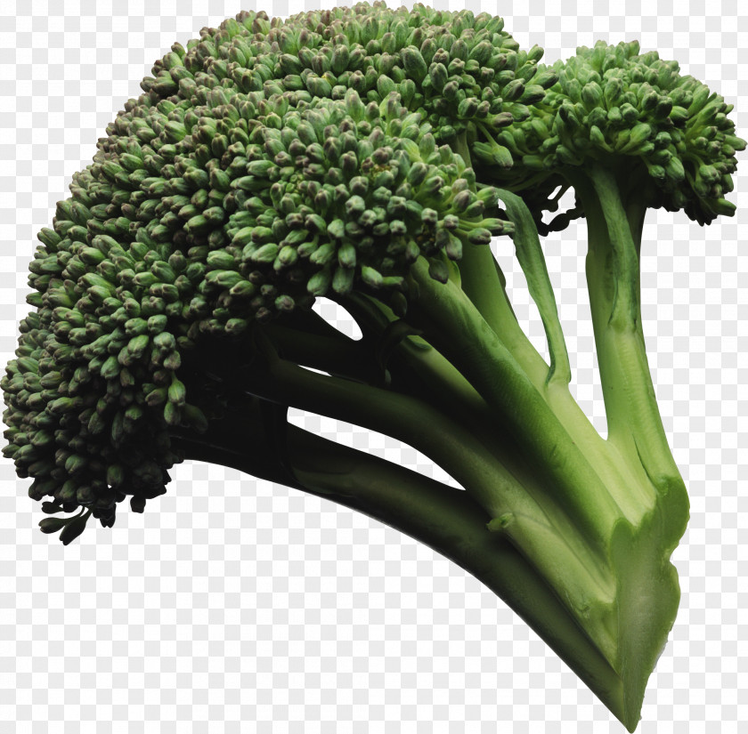Broccoli Image Vegetable PNG
