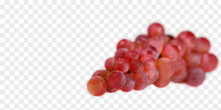 Grape Zante Currant Seedless Fruit Cranberry Food PNG