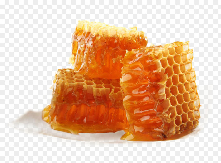 Honey Bee Maya Honeycomb PNG