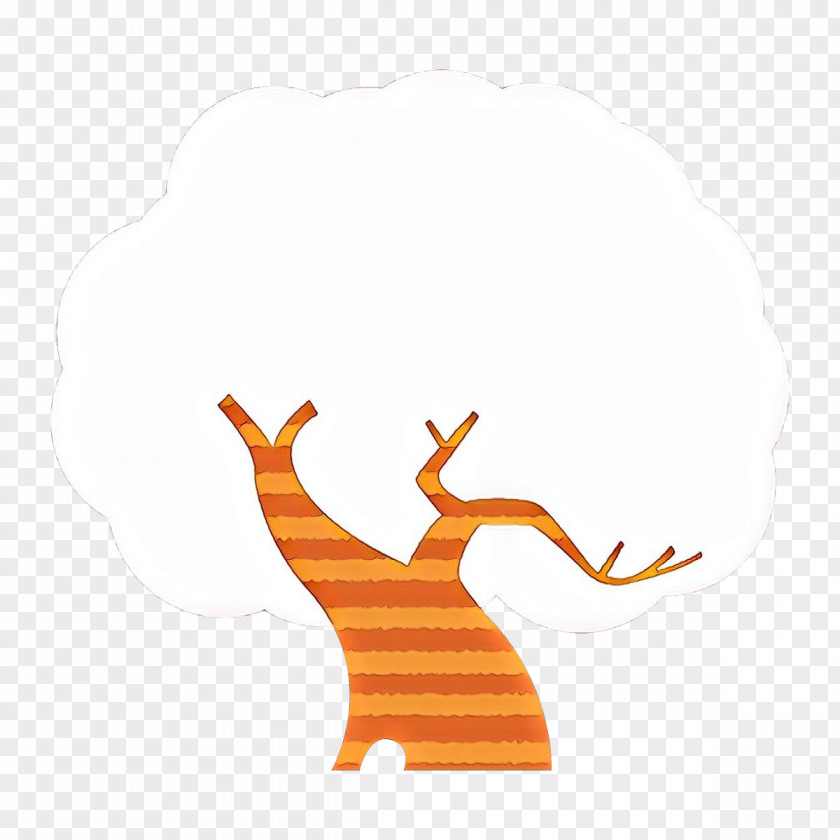 Orange PNG