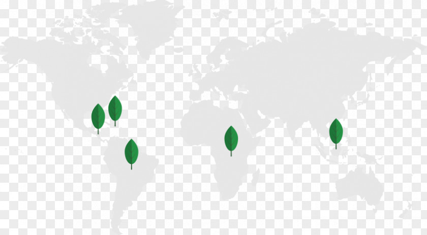 Soursop Juice World Map Desktop Wallpaper PNG