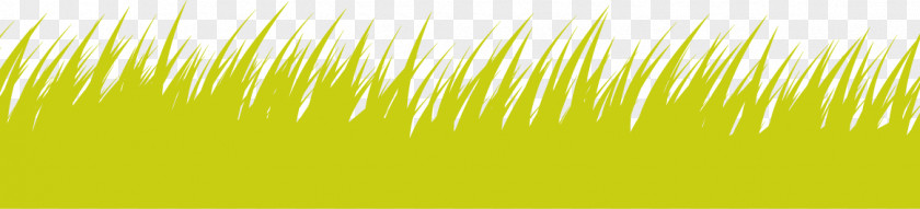 Vector Green Grass Creative Icon Sky Sunlight Computer Wallpaper PNG