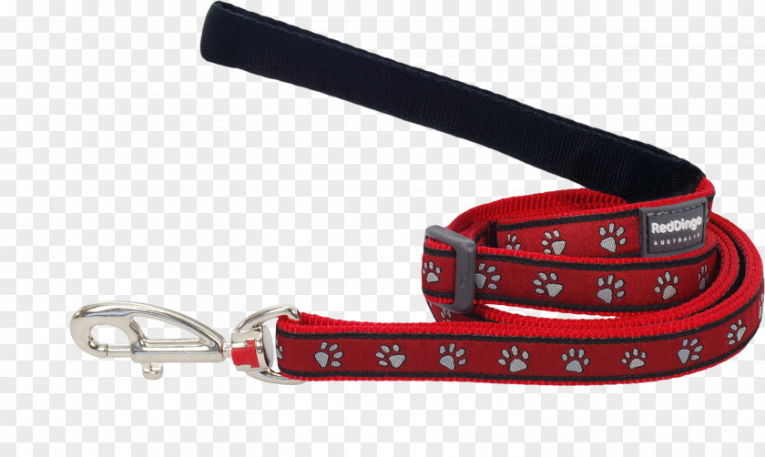 Dog Leash Dingo Cat Collar PNG