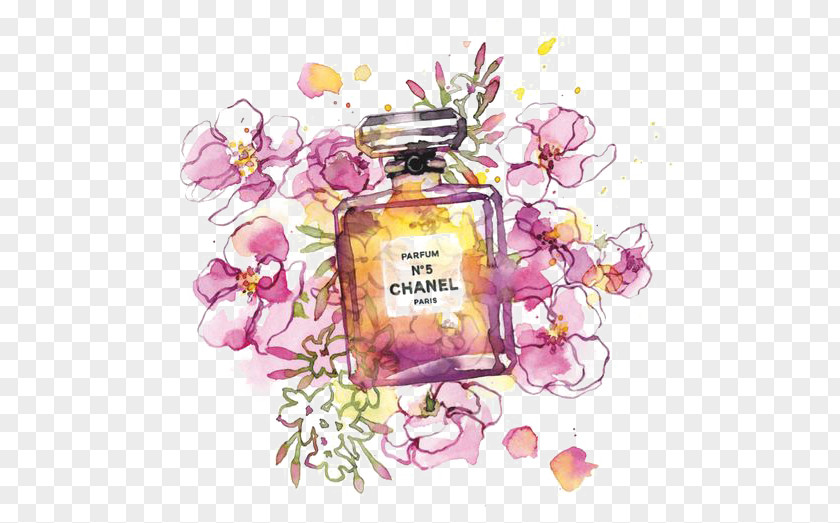 Drawing Perfume Chanel No. 5 Fashion Illustration PNG