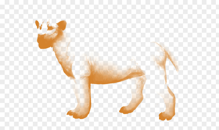 Gold Lion Dog Breed Mane Cat PNG
