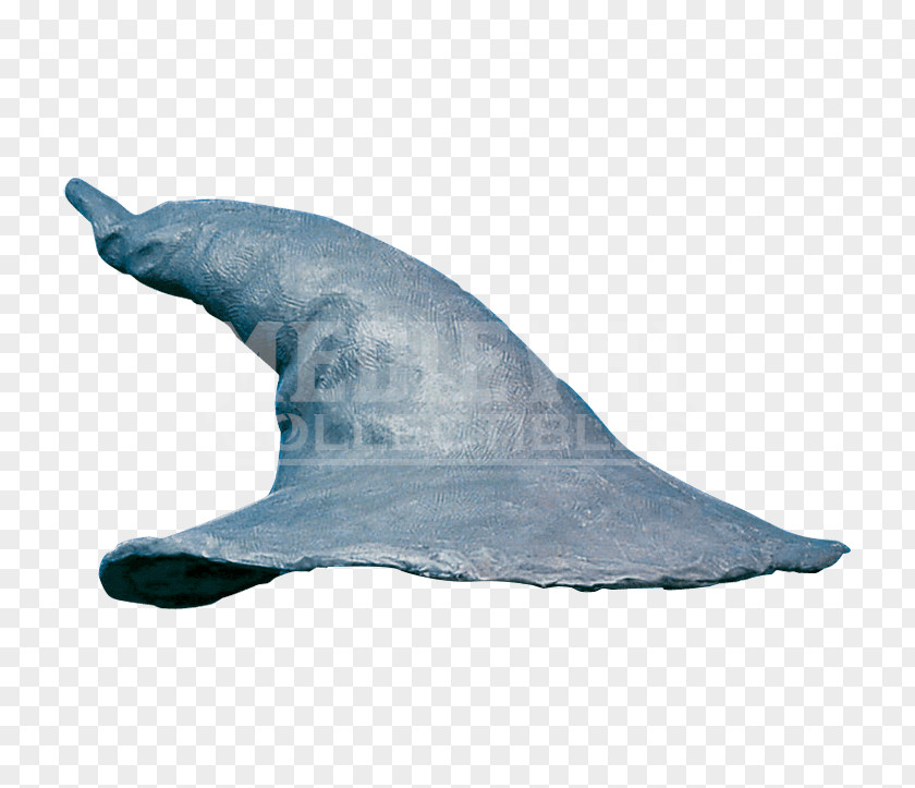 Hat Gandalf Costume Clothing Wizard PNG