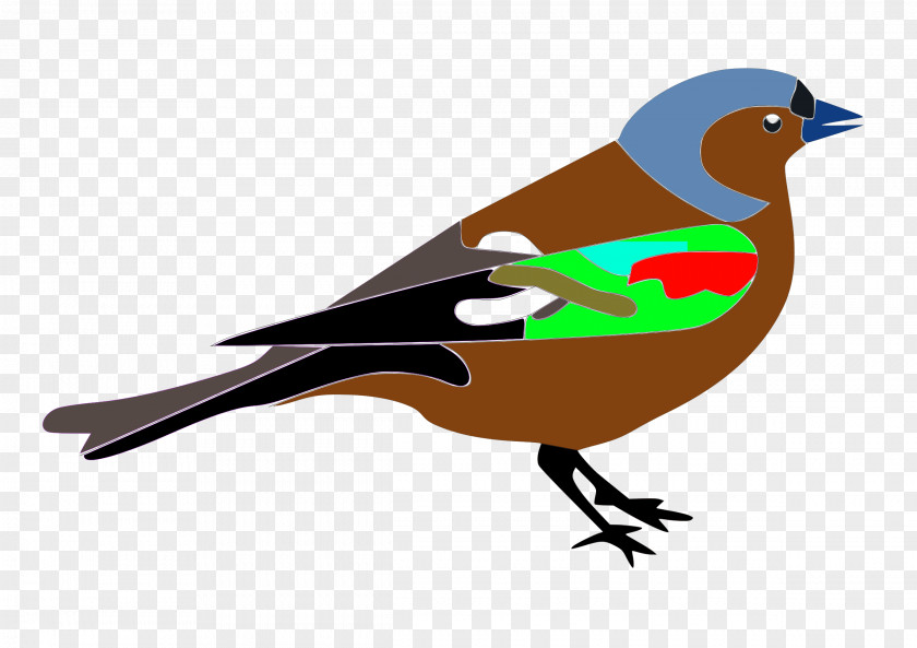 Sparrow Finches Clip Art Openclipart Vector Graphics PNG