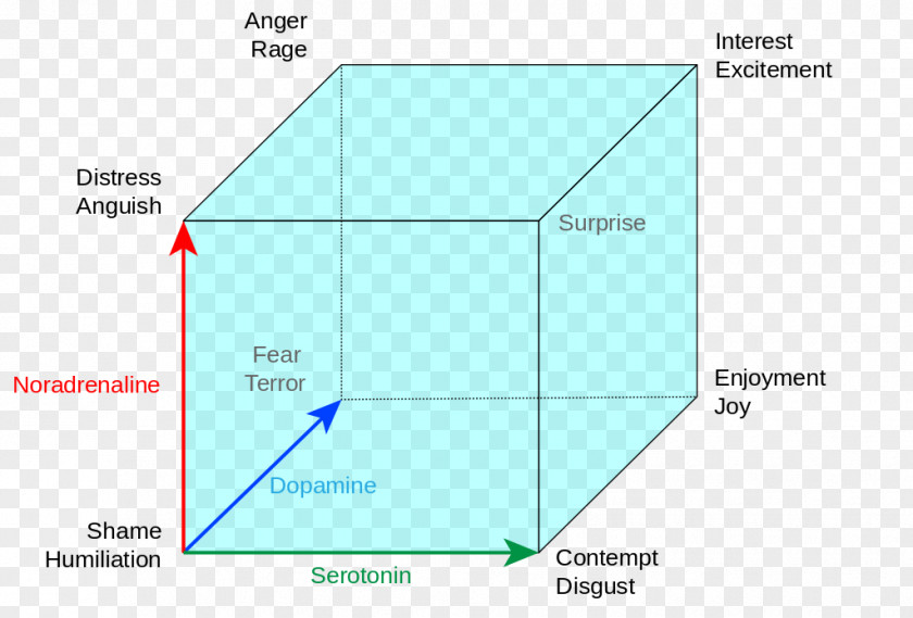 Threedimensional Cube Lövheim Of Emotion Classification Neurotransmitter Neuroscience PNG