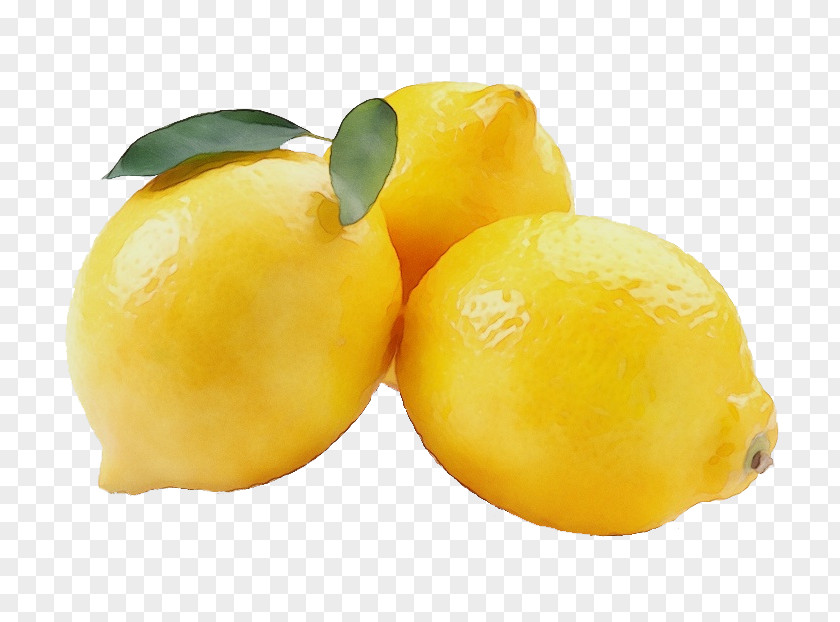 Yellow Plum Meyer Lemon Fruit Food Plant PNG