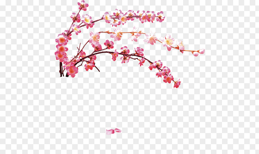 FIG Pink Plum Blossom Dreamcatcher Flower PNG