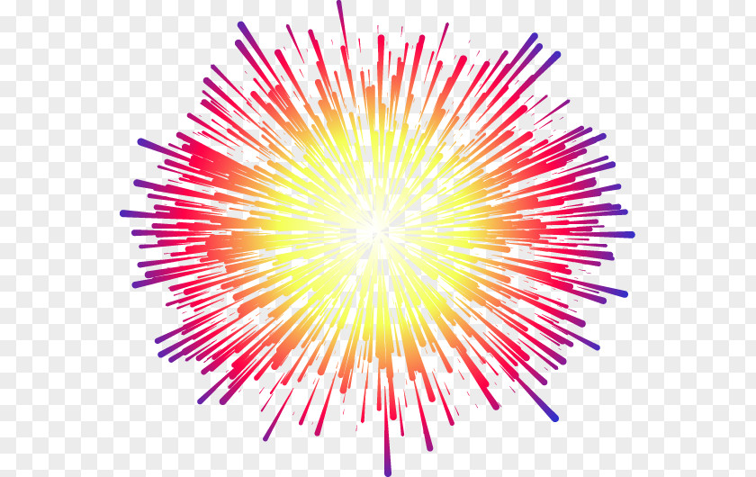 Fireworks Euclidean Vector PNG