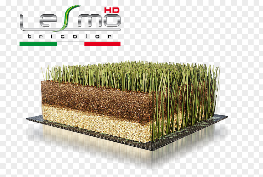 Football Artificial Turf Lawn Pitch PNG