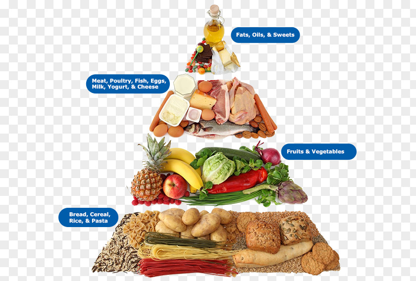 Health Carbohydrate Eating Diet Food Pyramid PNG
