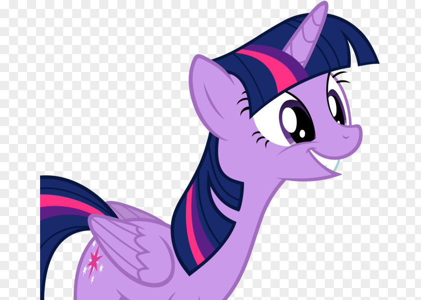 My Little Pony Twilight Sparkle Princess Celestia Pinkie Pie PNG
