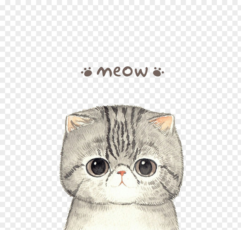 Shy Kitten IPhone X Huawei P10 P9 Cat PNG