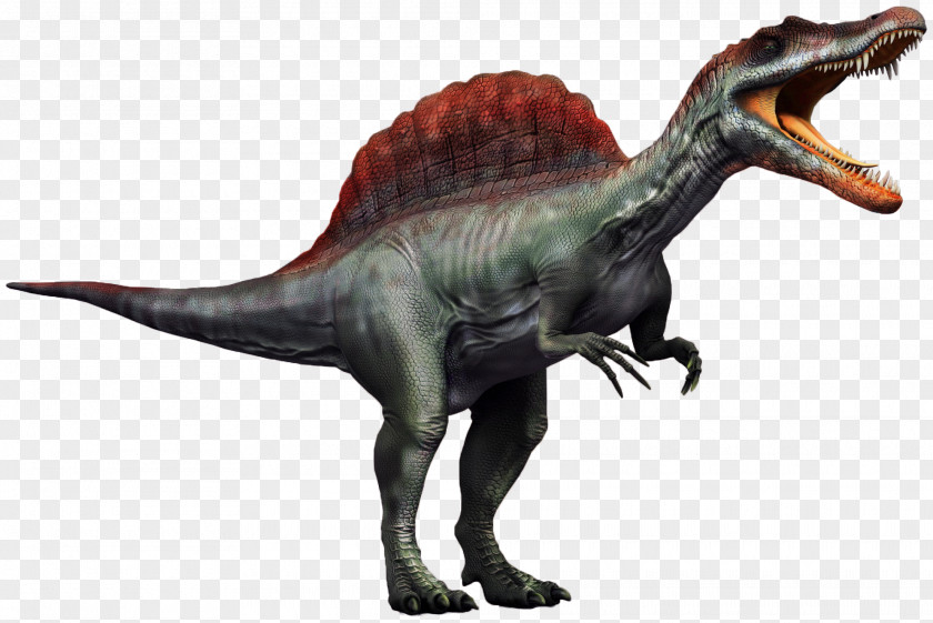 T Rex Carnivores 2 Spinosaurus Tyrannosaurus Dilophosaurus Yangchuanosaurus PNG