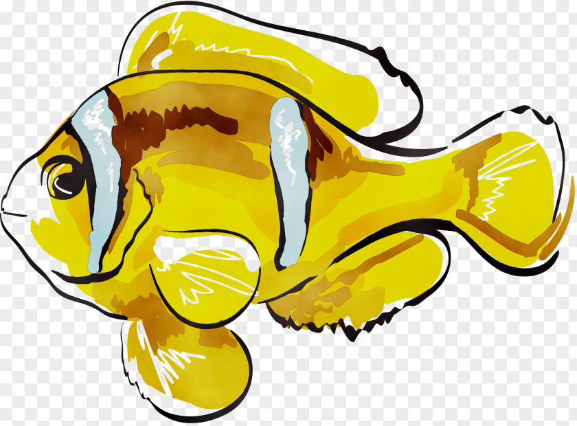 Clip Art Clownfish Fugu Vector Graphics PNG