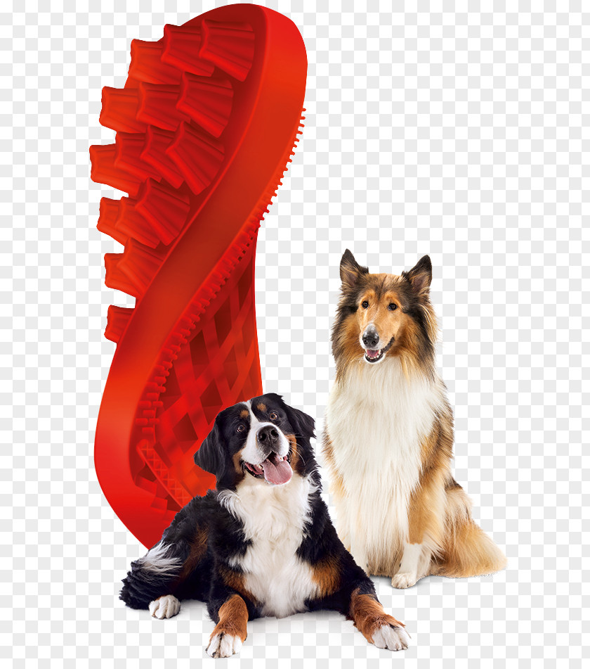 Dog Domestic Long-haired Cat Brush Pet PNG