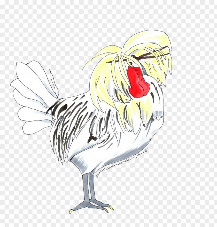 Fowl Cartoon Chicken Illustration Clip Art Goose Cygnini PNG
