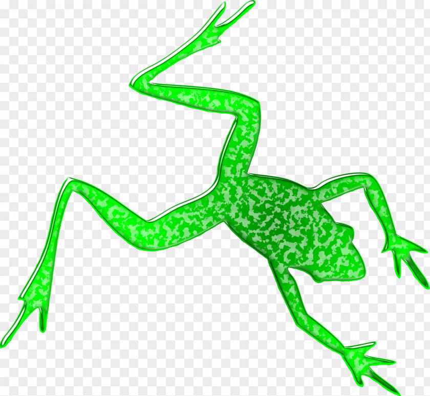 Amphibian Frog Silhouette Clip Art PNG