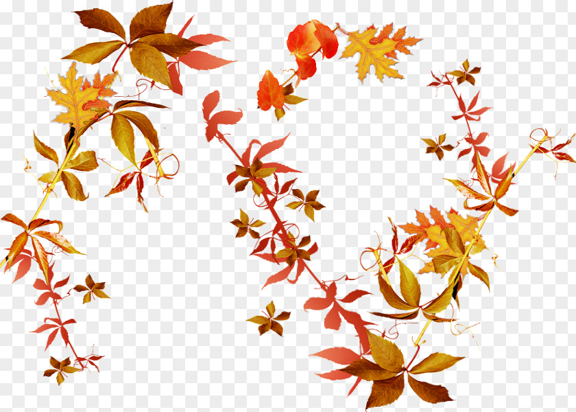 Autumn Leaves Flower Clip Art PNG