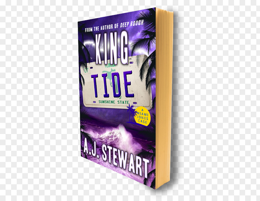 Cover Book King Tide Brand Review PNG