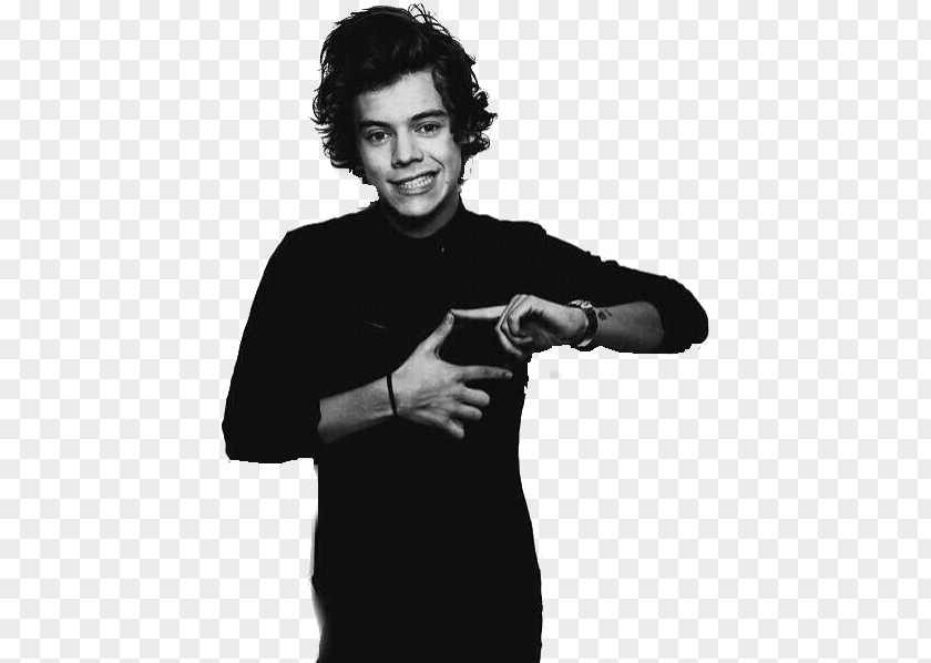 One Direction Harry Styles Photo Shoot Photography PNG