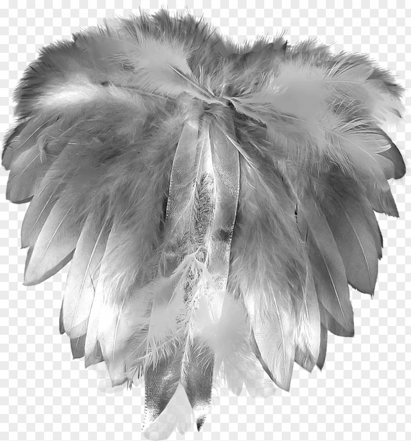 Pretty Creative Feather Grey Plumage Gratis PNG