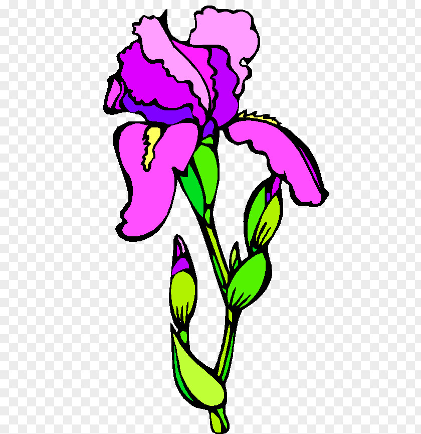 Trik Floral Design Flower Carnation Drawing Cartoon PNG