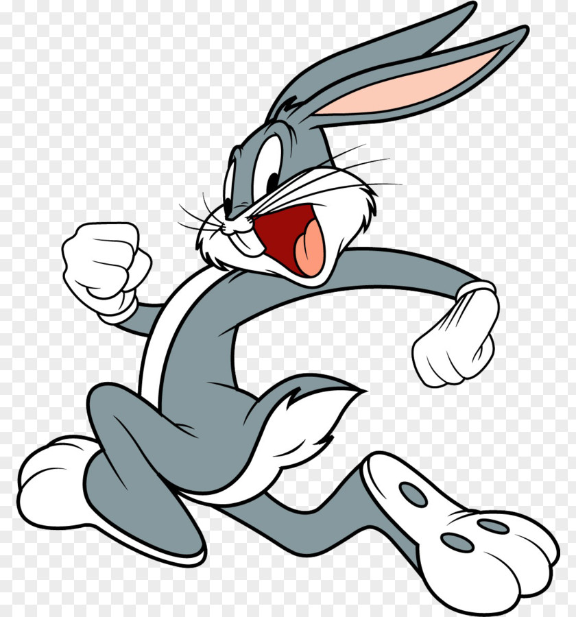 Bugs Bunny Daffy Duck Looney Tunes Warner Bros. Cartoons PNG