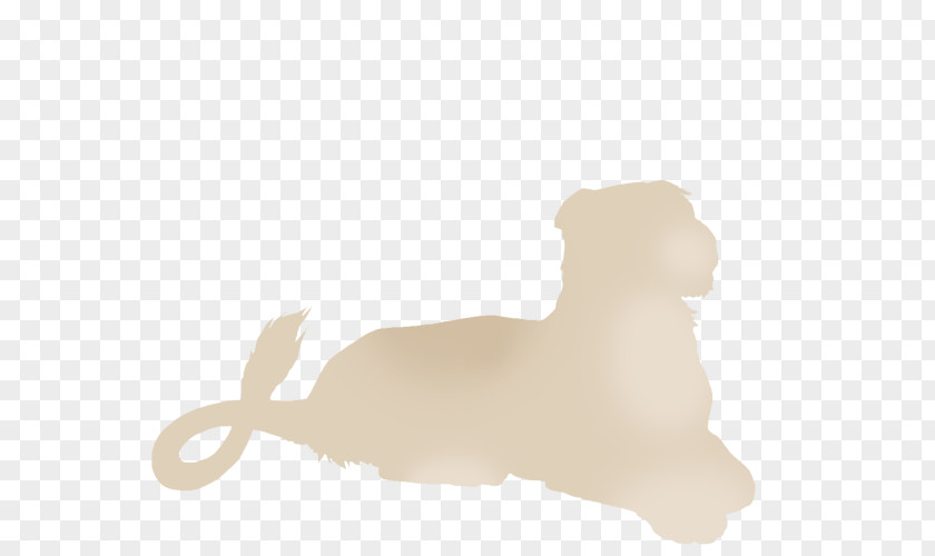 Dynamic Light Dog Cat Mammal Canidae Carnivora PNG