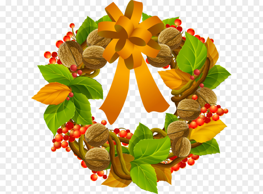 Hand-painted Nuts Circle PNG