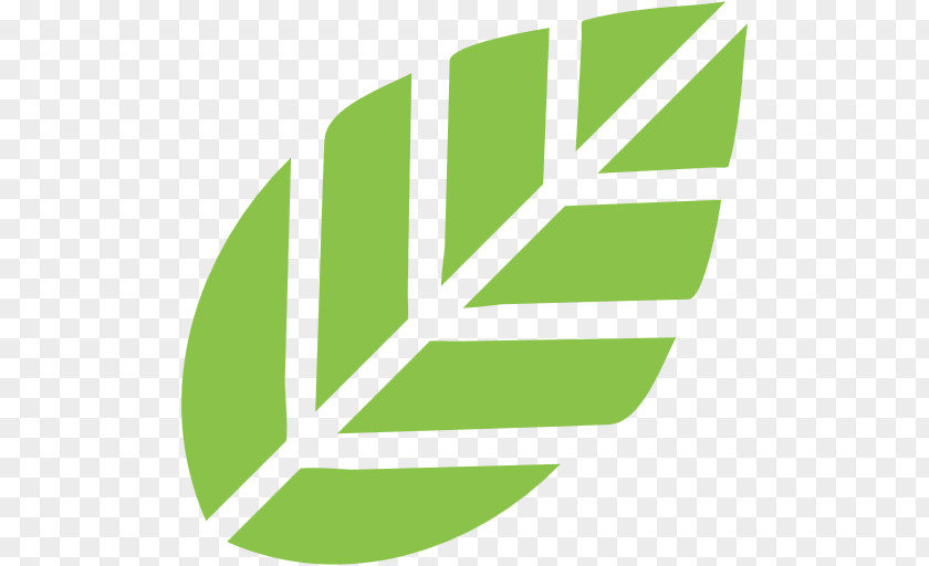 Leaf Shape PNG