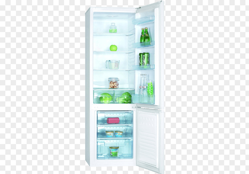 Refrigerator Proline TTR92 Freezers Home Appliance PNG