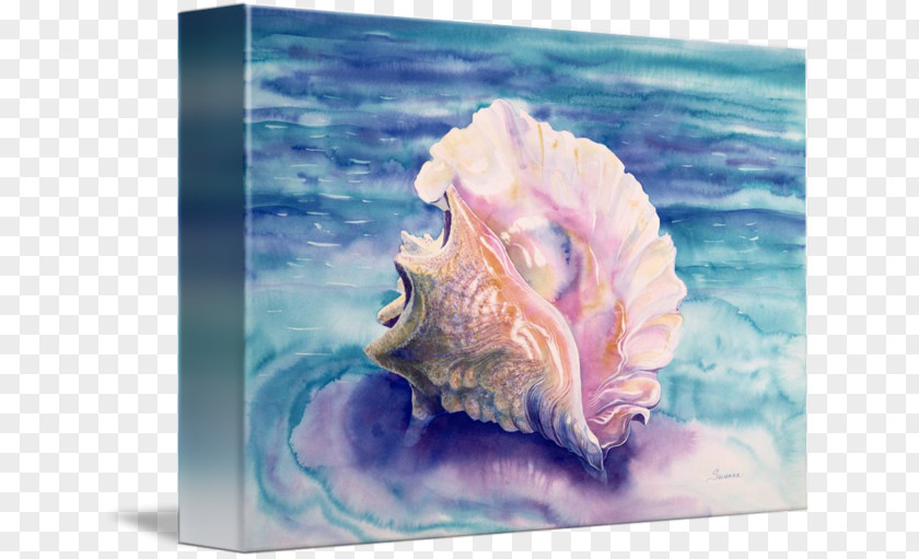 Conch Caribbean Sea Lobatus Gigas Seashell Watercolor Painting PNG