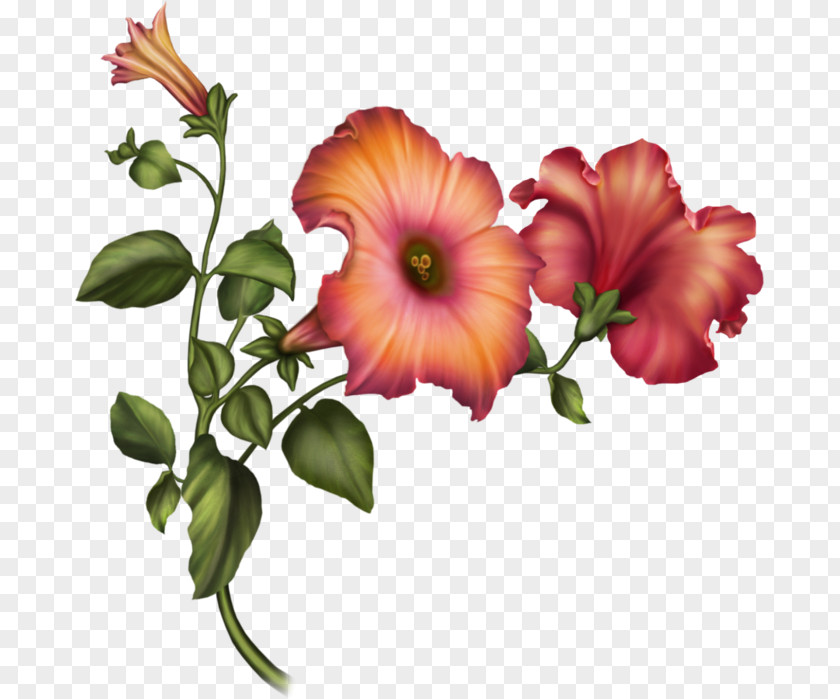 Flower Cut Flowers Floral Design Hibiscus Bouquet PNG