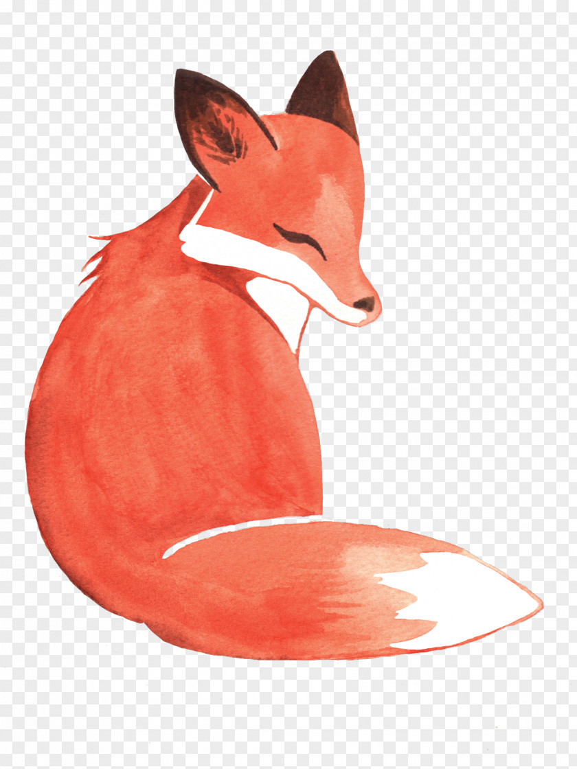 Fox Watercolor Painting Image Clip Art PNG