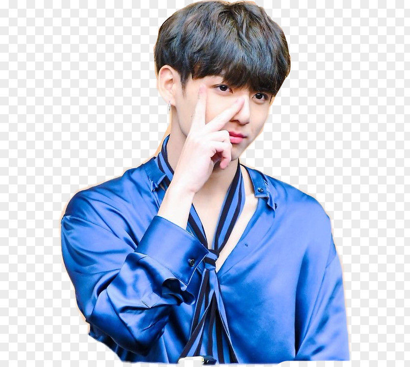 Jungkook Bts Love Yourself: Her BTS Tear Blood Sweat & Tears PNG