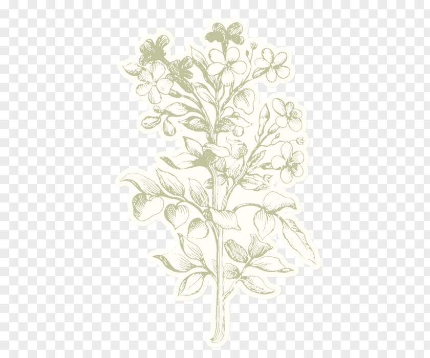 Leaf Twig Plant Stem PNG