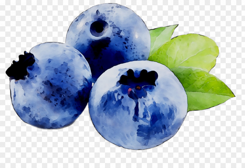 Blueberry Bilberry Fruit Actimel PNG