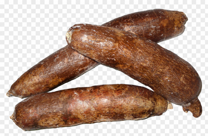 Cassava Tapioca Pudding Vegetable PNG