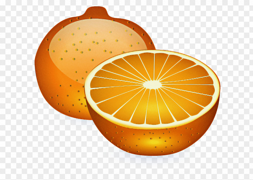 Citron Calamondin Cartoon Lemon PNG