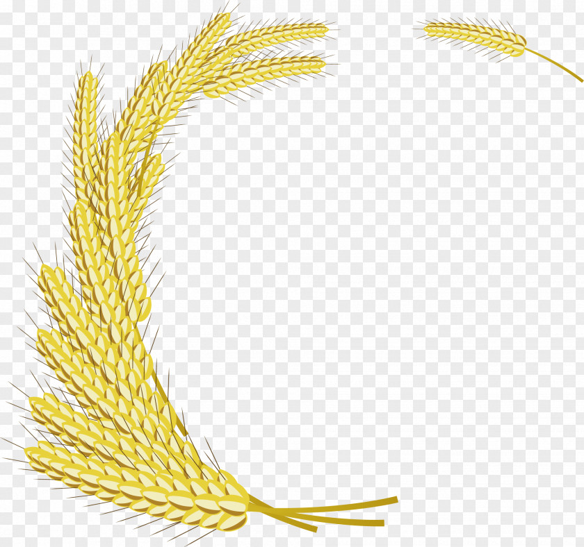 Decorative Hand Painted With Wheat Emmer Rice PNG